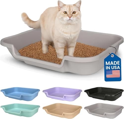 KittyGoHere Senior Cat Litter Box