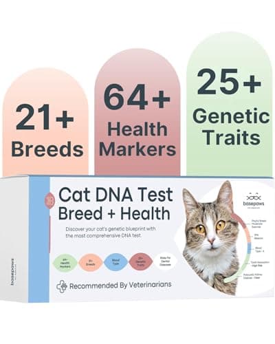 Basepaws Cat DNA Test Kit, Breed, Health & Dental Insights, 114 DNA Traits