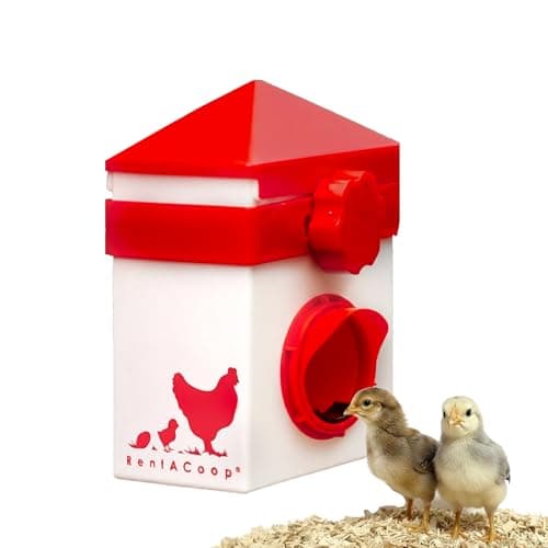 RentACoop Chick2Chicken No-Waste Feeder