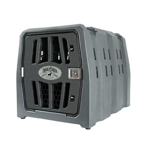 Lucky Duck Lucky Dog Kennel — Intermediate