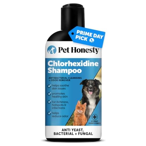 Pet Honesty Chlorhexidine Cat & Dog Seasonal Itch Relief Shampoo, for Allergies, Itching, Skin and Coat Supplement, Helps Shedding, Hot Spots, Deodorizing Dog Shampoo & Grooming Supplies,16oz
