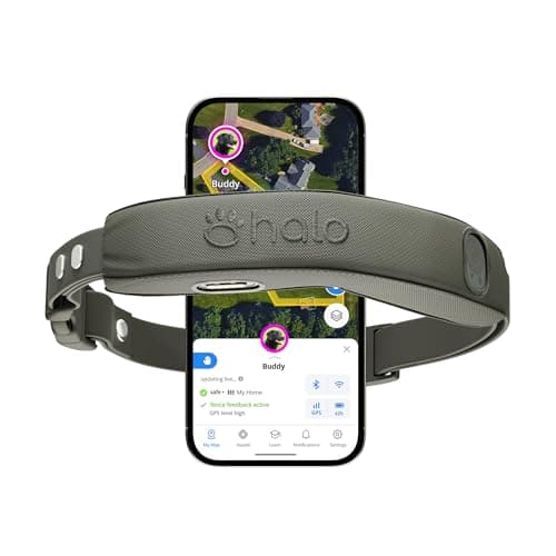Halo Collar 5 Wireless Dog Fence & GPS Dog Collar, App-Controlled Boundaries and Real-Time Tracking, Graphite