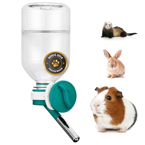 Choco Nose No-Drip Water Bottle