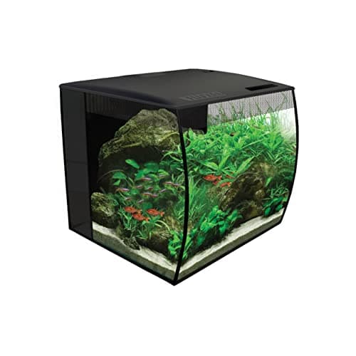 Fluval Flex 9 Gallon Glass Aquarium Kit, Black