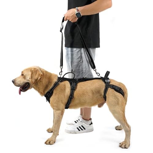 COODEO Mobility Dog Lift Harness, Rear-Leg Support & Walking Sling for Senior Dogs
