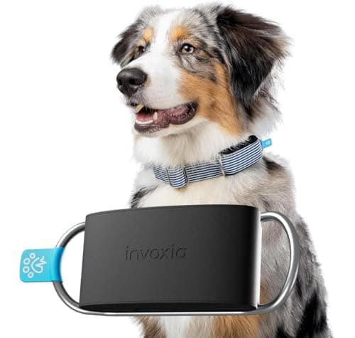 Invoxia Minitailz Health & GPS Tracker for Dogs — Cardiac and Respiratory Scan