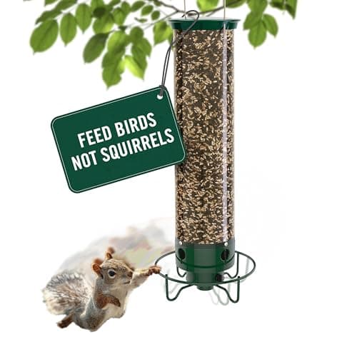 Droll Yankees Yankee Flipper YF-M Squirrel-Proof Bird Feeder, Rechargeable Weight-Activated Rotating Perch, 5-Pound Capacity