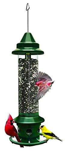 Brome Squirrel Buster Plus Squirrel-Proof Bird Feeder with Cardinal Ring and 6 Feeding Ports, 5.1-Pound Capacity
