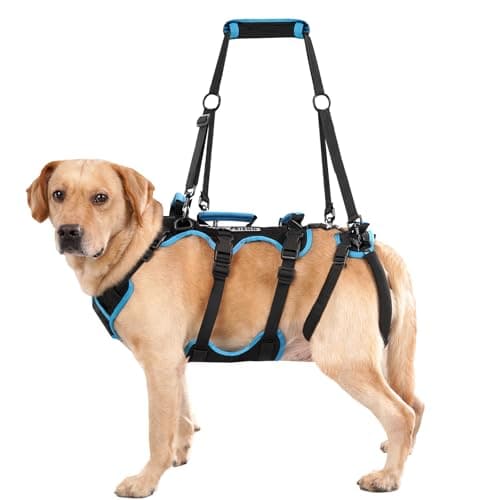 Lafoty Dog Lift Harness for Large Dogs, 2-in-1 Detachable Full-Body Support with 4 Handles