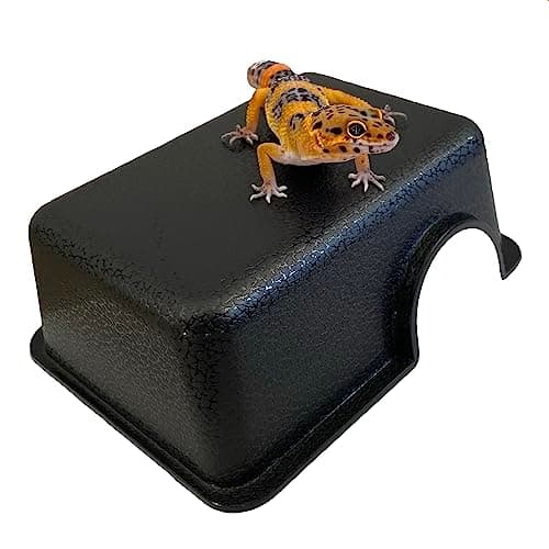 Gondola Geckos Plastic Reptile Hide Box