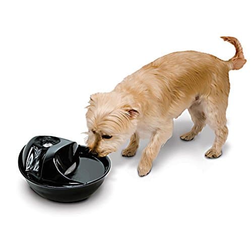 Pioneer Pet Raindrop Ceramic Pet Fountain (60 oz)