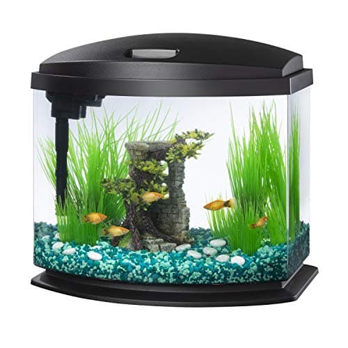 Aqueon LED MiniBow Small Aquarium Kit with SmartClean Technology, Black, 5 Gallon