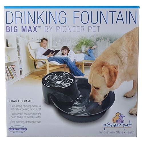 Pioneer Pet Big Max Ceramic Drinking Fountain (128 oz, Black)