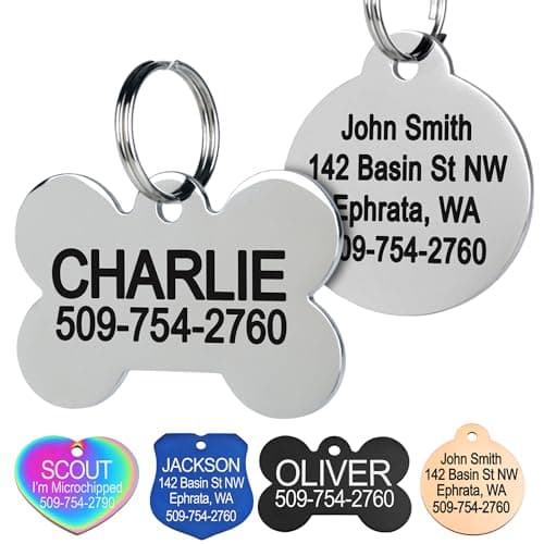 GoTags Stainless Steel Personalized Pet ID Tag