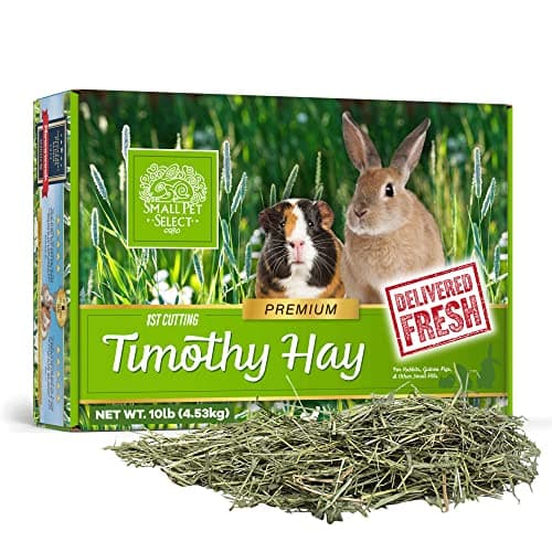Small Pet Select 1st Cut Timothy Hay