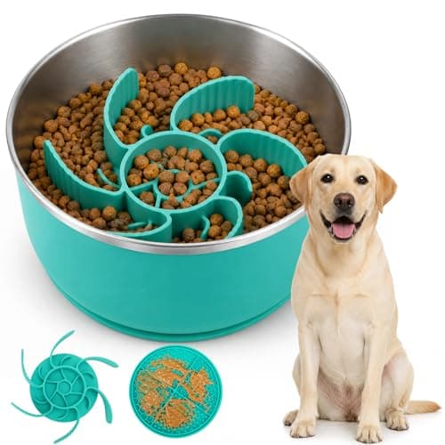 PureDiey Stainless Steel Slow Feeder Dog Bowl with Lick Mat