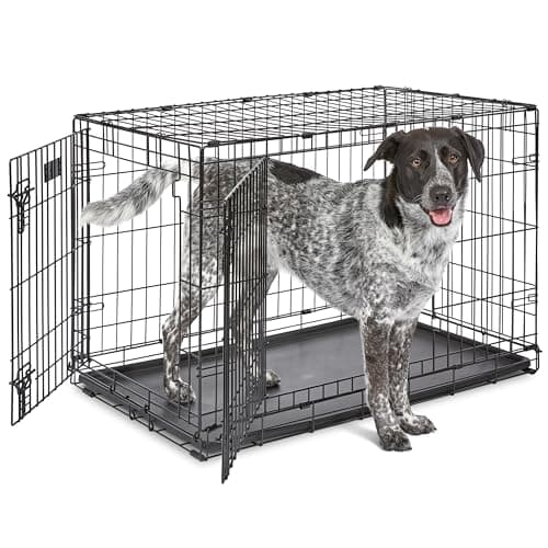 MidWest iCrate 36-Inch Double-Door Folding Dog Crate with Divider Panel
