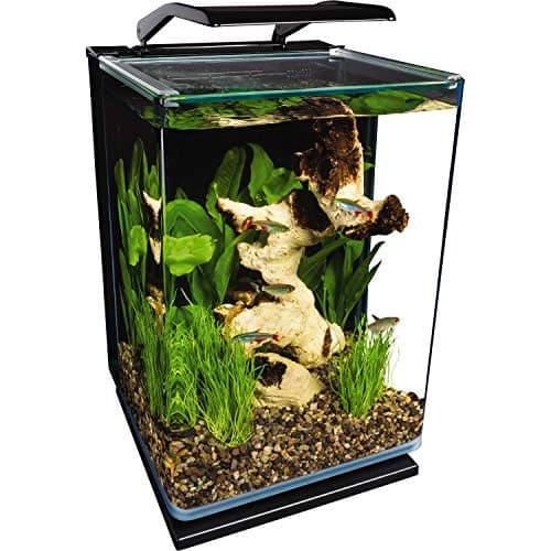 Marineland Portrait Glass LED Aquarium Kit, 5 Gallons, Hidden Filtration, Black
