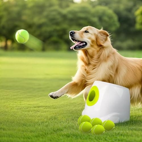 ALL FOR PAWS Automatic Dog Ball Launcher, Interactive Fetch Toy for Medium to Large Dogs, 6 2.5-Inch Balls
