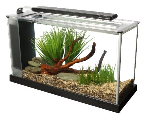 Fluval SPEC Aquarium Kit with LED Lighting and 3-Stage Filtration, 5-Gallon