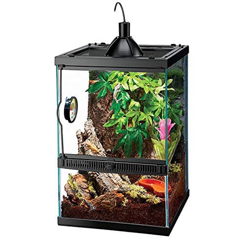 Zilla 11 Gallon Glass Tropical Vertical Habitat Starter Kit