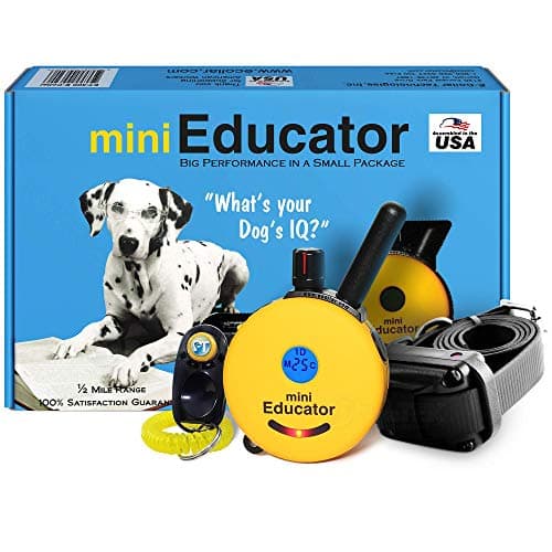 Educator ET-300 Mini E Collar for Dog Training with Remote - 1/2 Mile Range