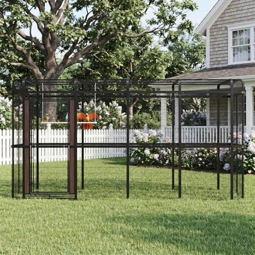 Walnest 154-Inch Heavy Duty Outdoor Walk-in Bird Cage, Carbon Crystal Board & Metal Aviary
