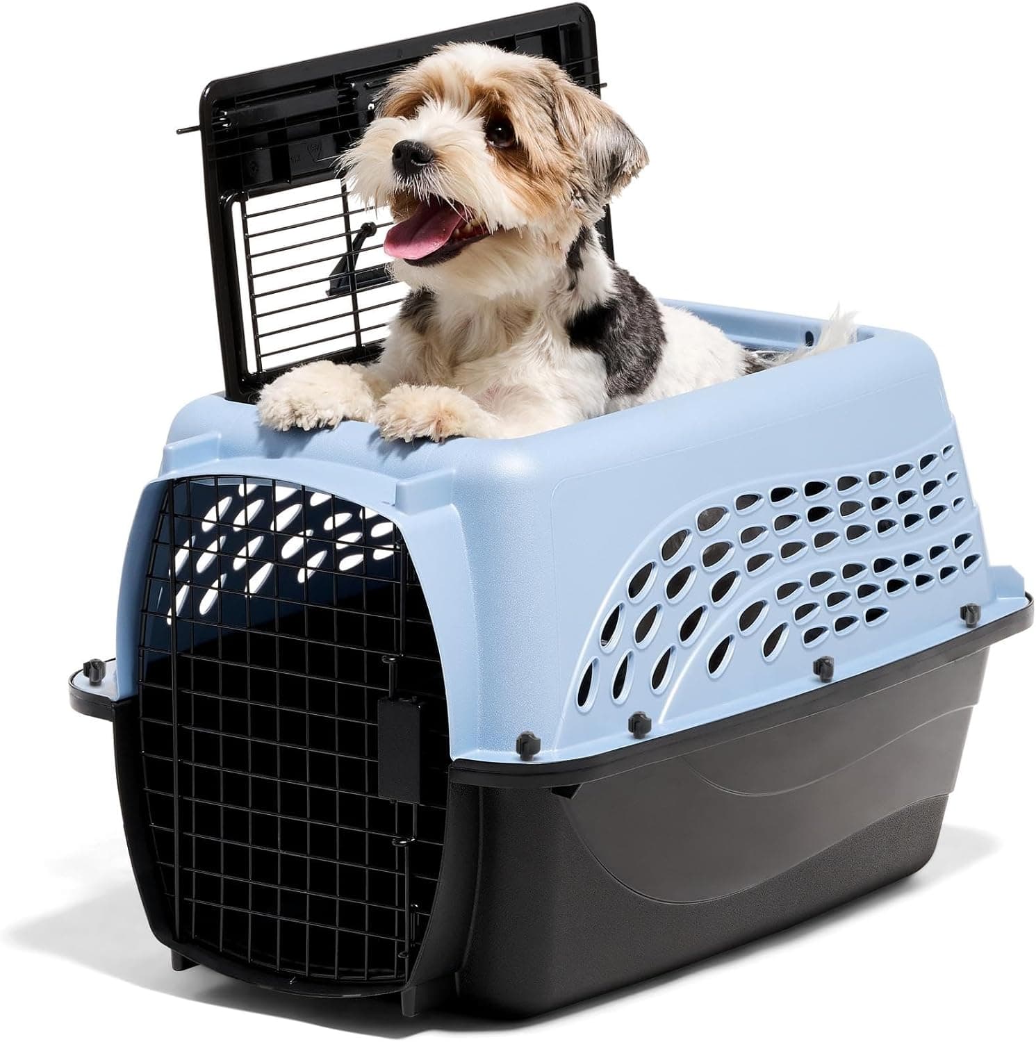 Petmate Two Door Plastic Pet Kennel for Small Dogs and Cats, 24 in, Blue