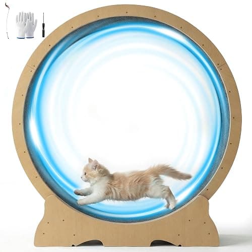 POLAHAKU Cat Wheel for Indoor Cats, 48 Inch Diameter Exercise Running Wheel