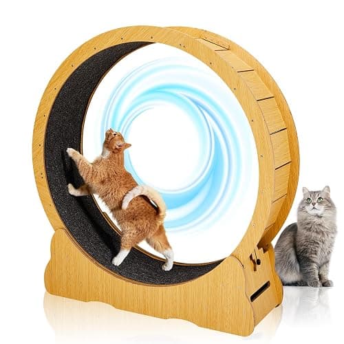 Outvita Cat Exercise Wheel for Quiet Running Indoor Use, 39.4 Inch Cat Treadmill with Detachable Carpet, Natural Wood
